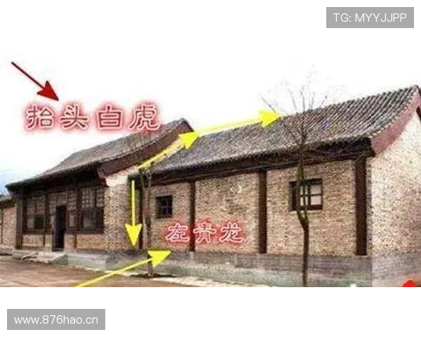 柳雅慧出门比谁都低调，家里那个豪宅风水到底啥样？